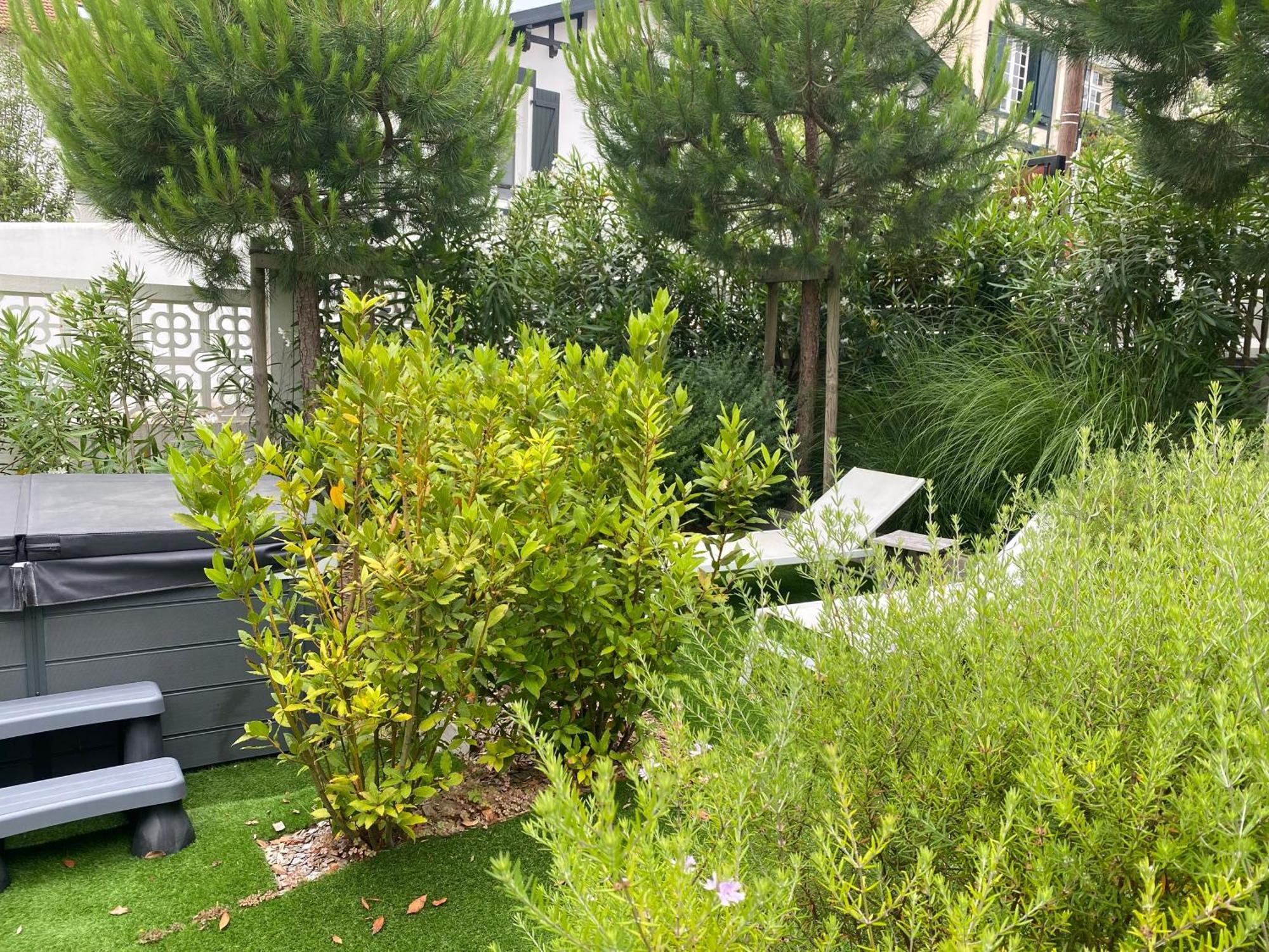 Chambre D'Hotes Villa Bibicheri Biarritz Exterior photo